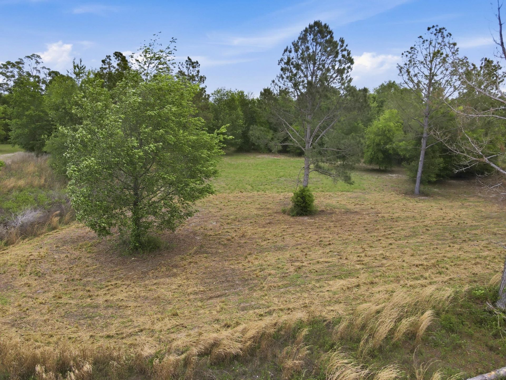 000 NE Rowan Road , Mayo, FL 32066 Photo