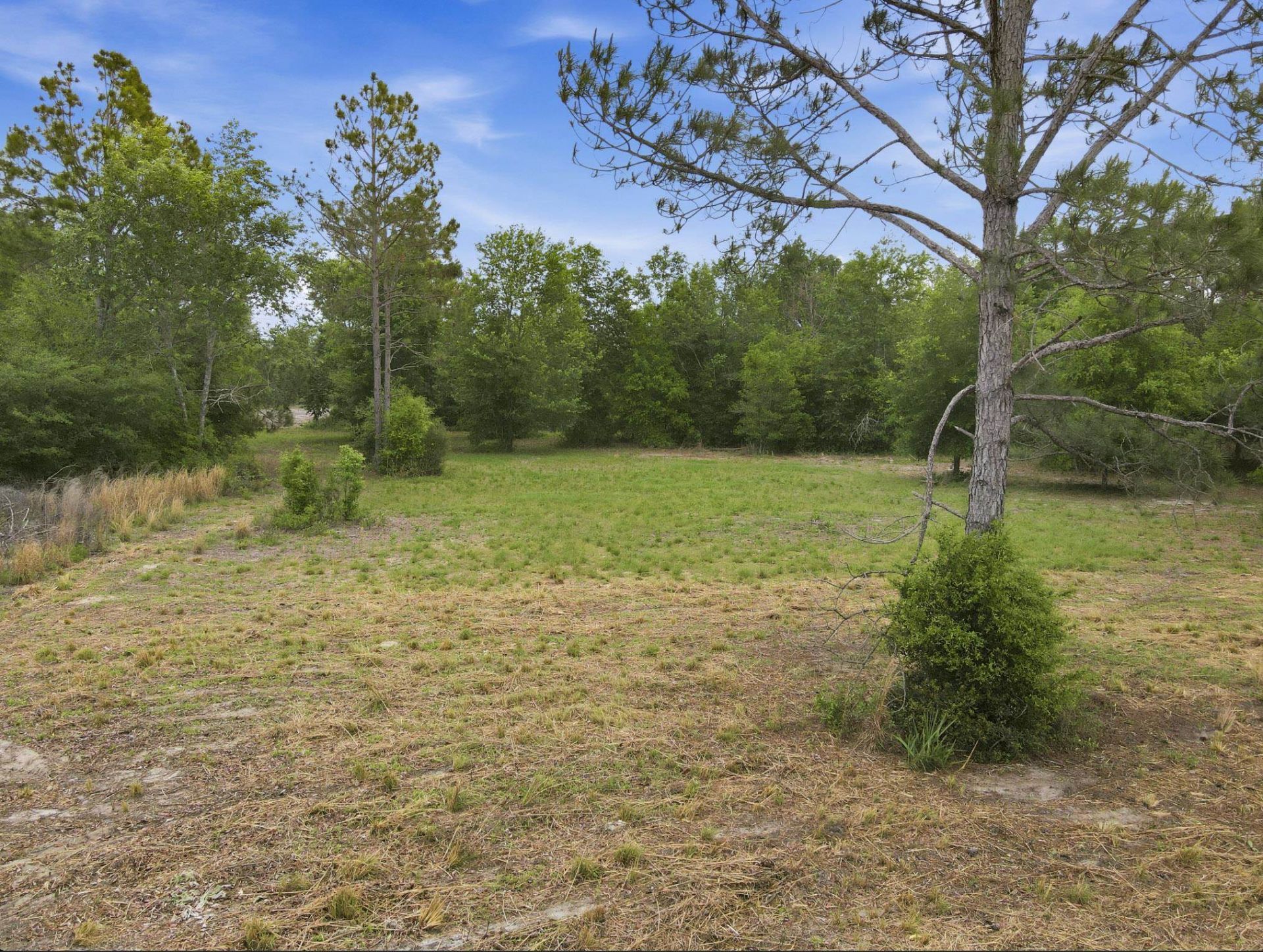 000 NE Rowan Road , Mayo, FL 32066 Photo