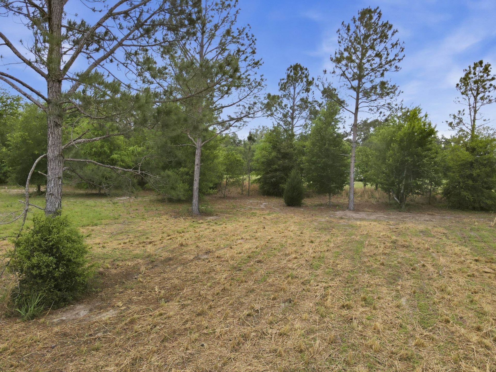 000 NE Rowan Road , Mayo, FL 32066 Photo