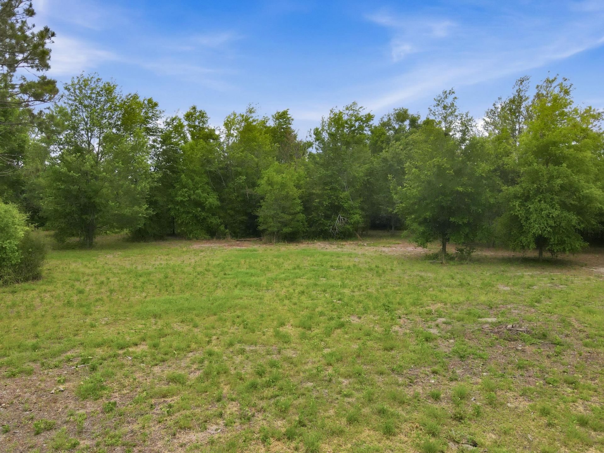 000 NE Rowan Road , Mayo, FL 32066 Photo