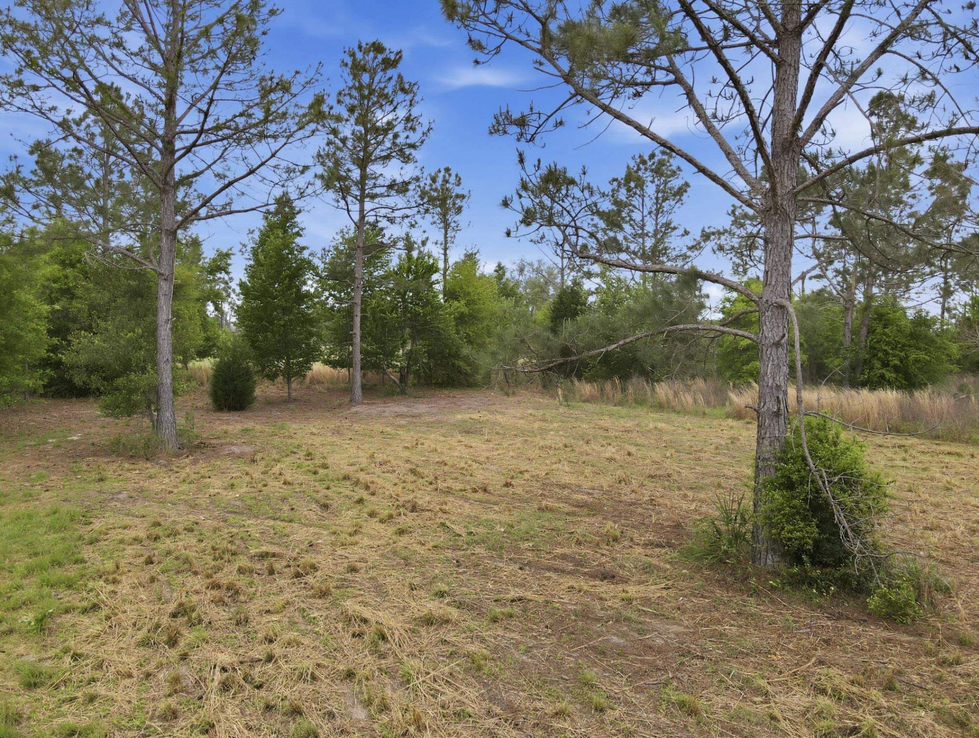 000 NE Rowan Road , Mayo, FL 32066 Photo