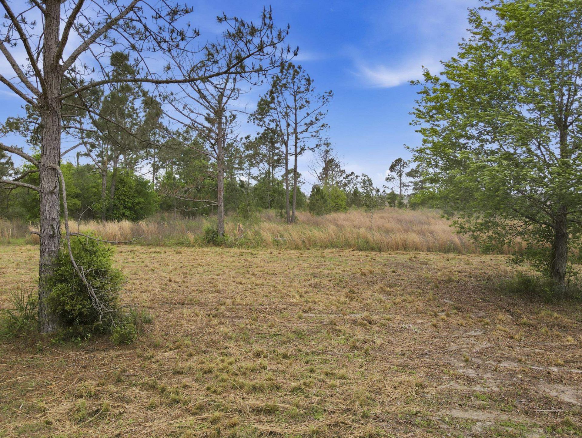 000 NE Rowan Road , Mayo, FL 32066 Photo