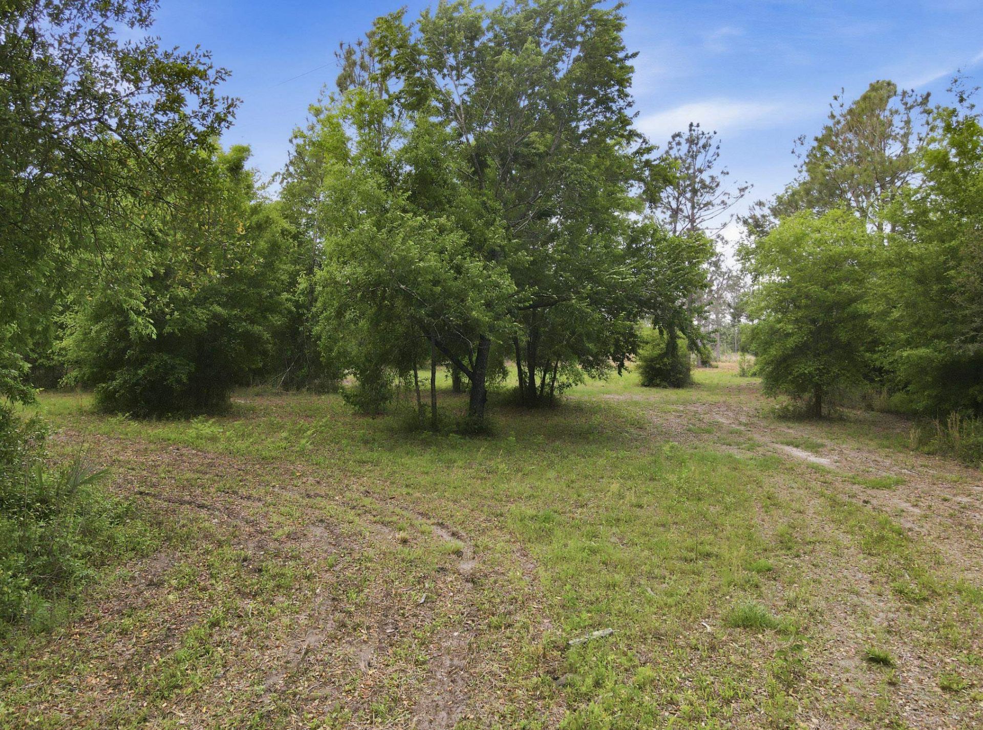 000 NE Rowan Road , Mayo, FL 32066 Photo