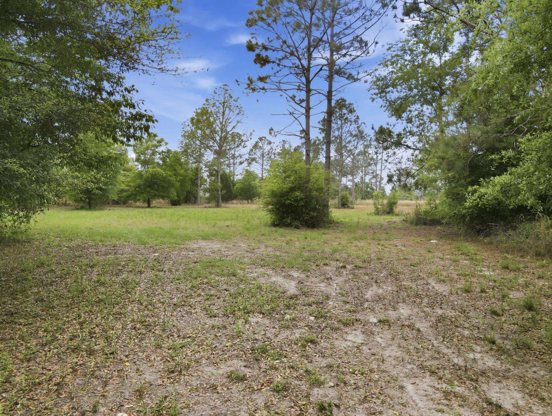 000 NE Rowan Road , Mayo, FL 32066 Photo