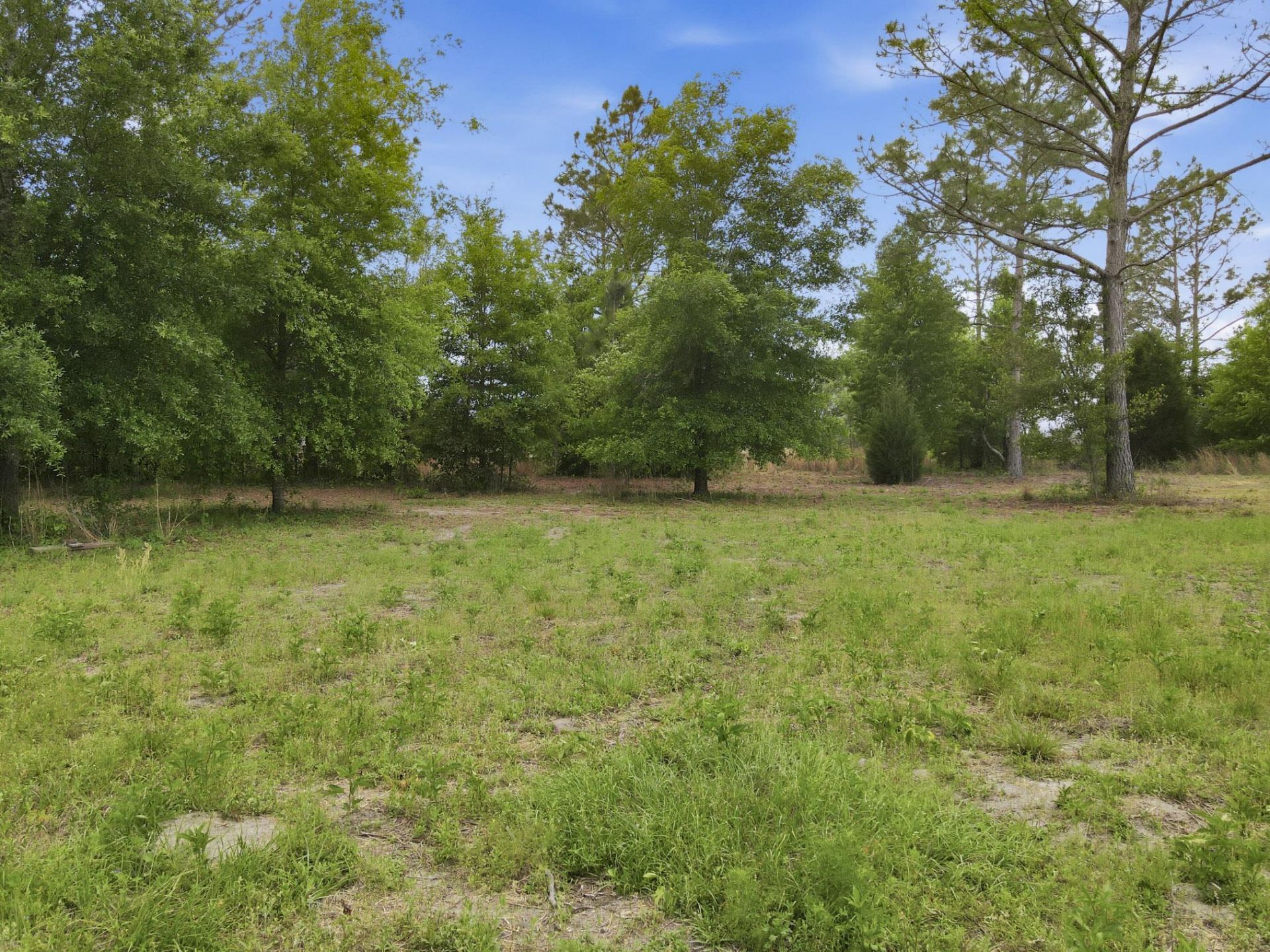 000 NE Rowan Road , Mayo, FL 32066 Photo