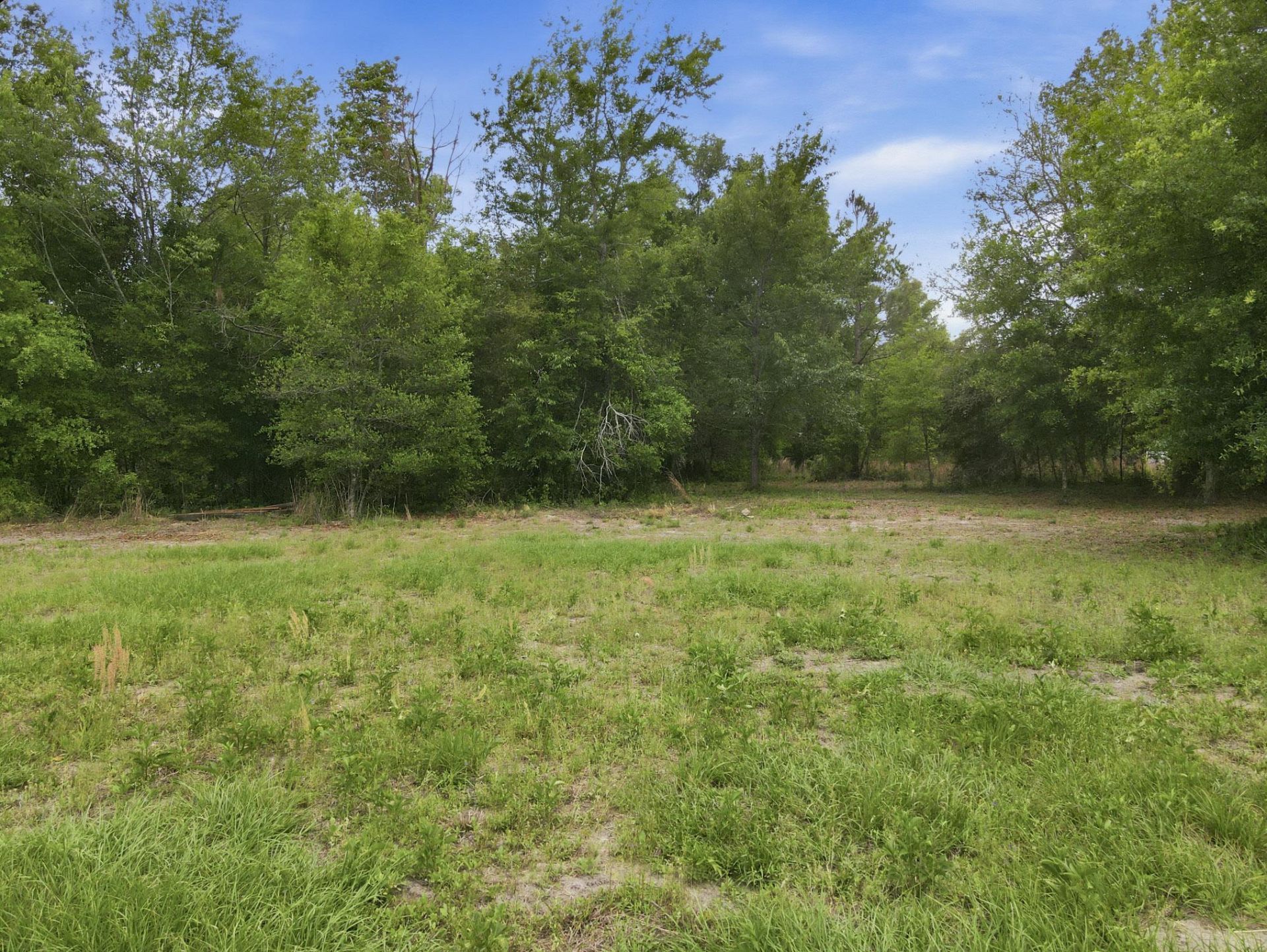 000 NE Rowan Road , Mayo, FL 32066 Photo