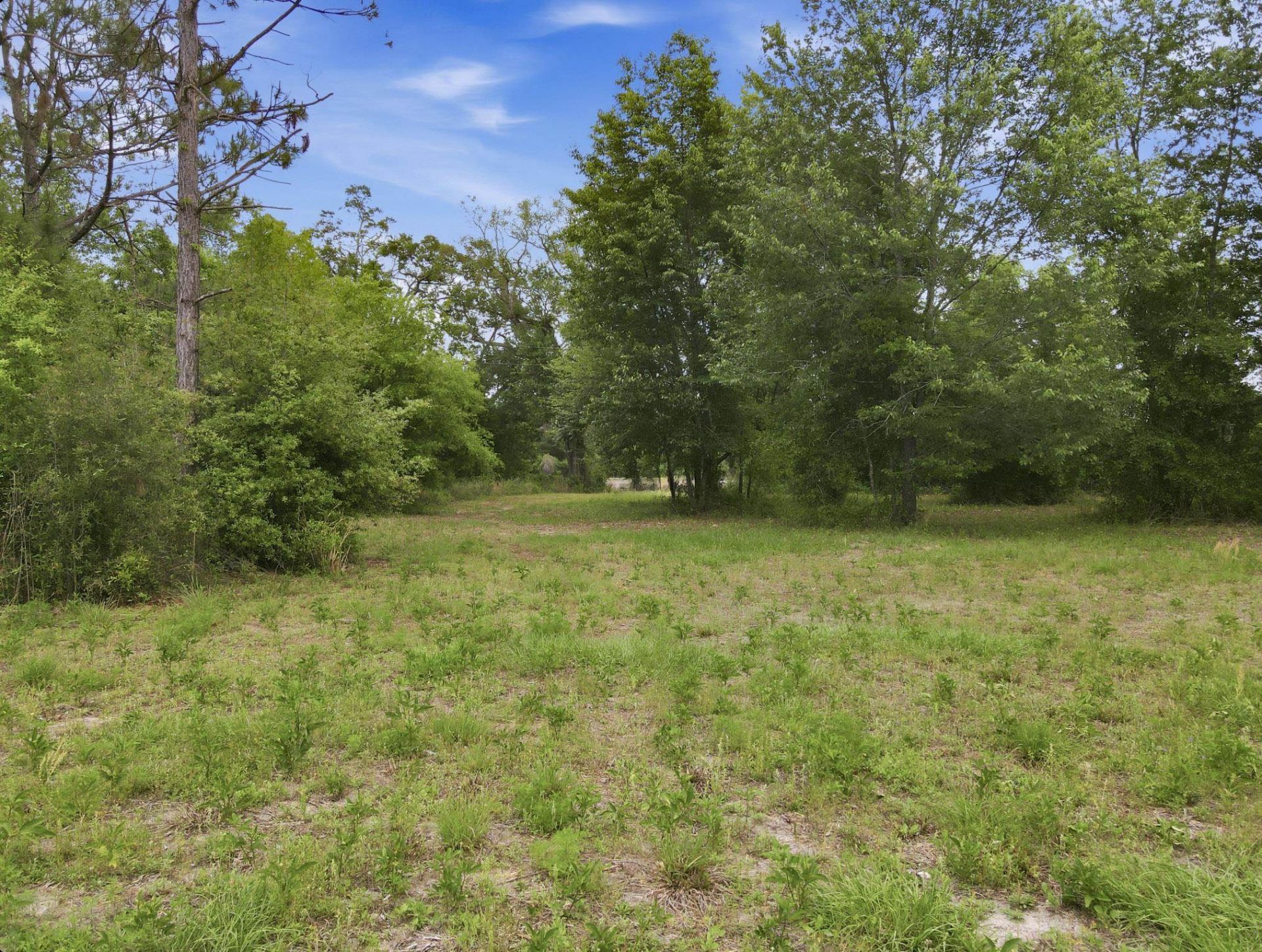 000 NE Rowan Road , Mayo, FL 32066 Photo