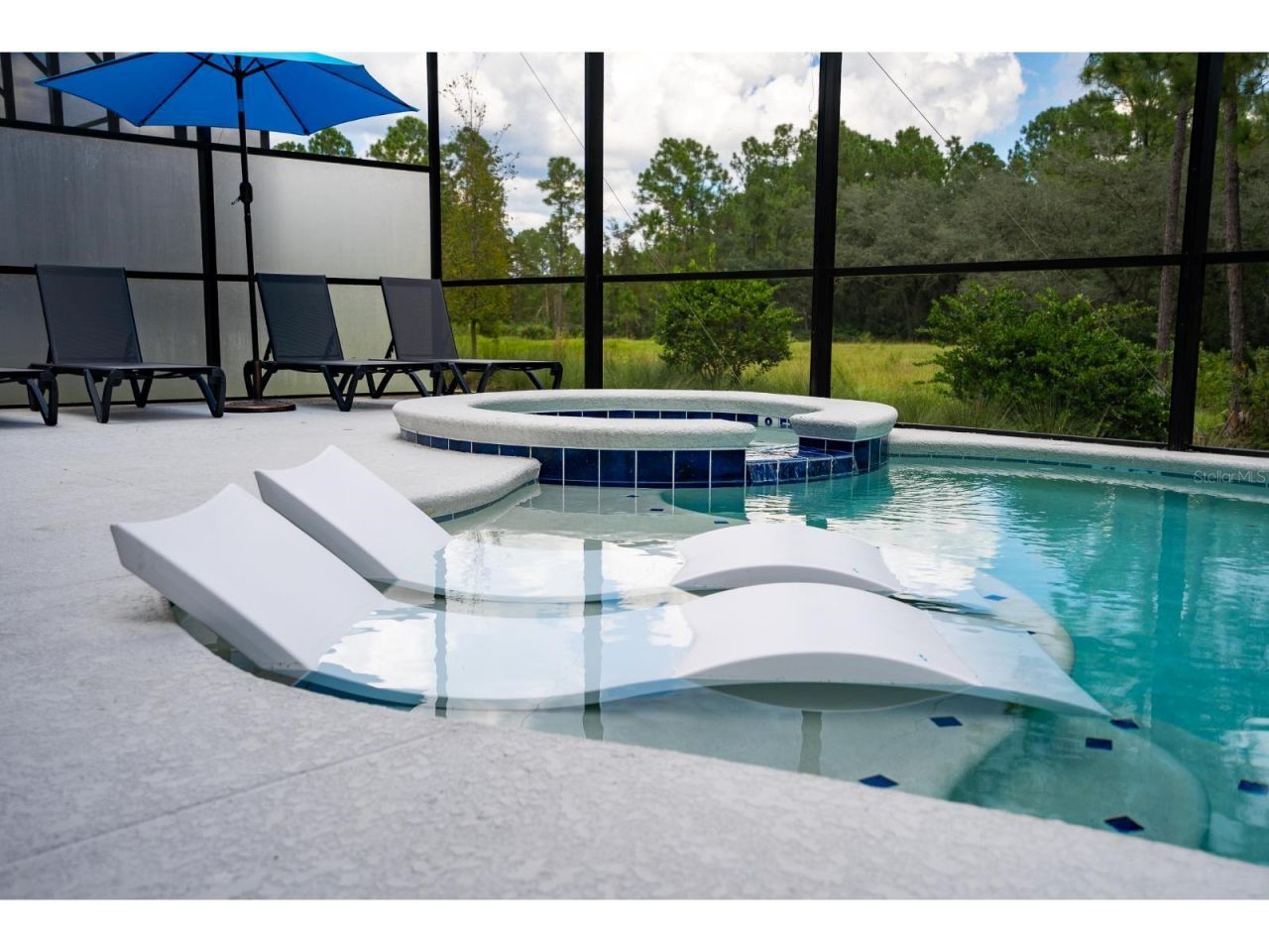 1443 Butterfly Milkweed Court, Davenport, FL 33837 Photo