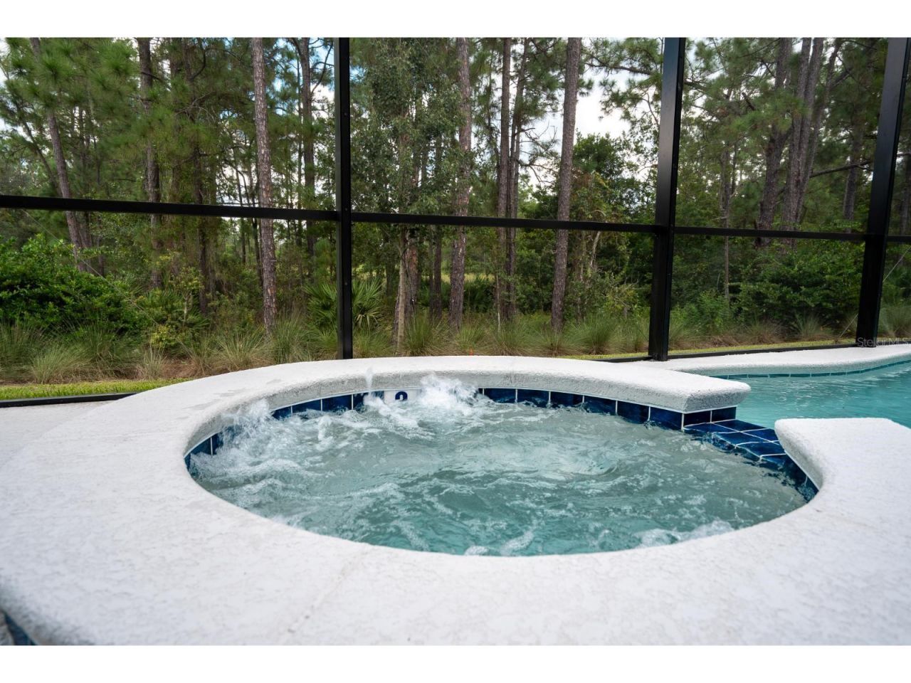 1443 Butterfly Milkweed Court, Davenport, FL 33837 Photo