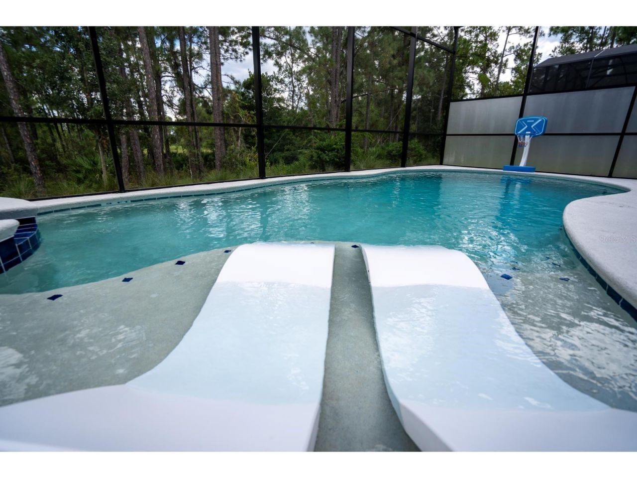 1443 Butterfly Milkweed Court, Davenport, FL 33837 Photo