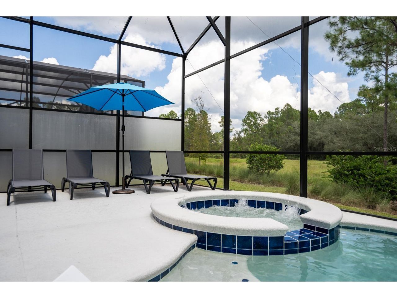 1443 Butterfly Milkweed Court, Davenport, FL 33837 Photo