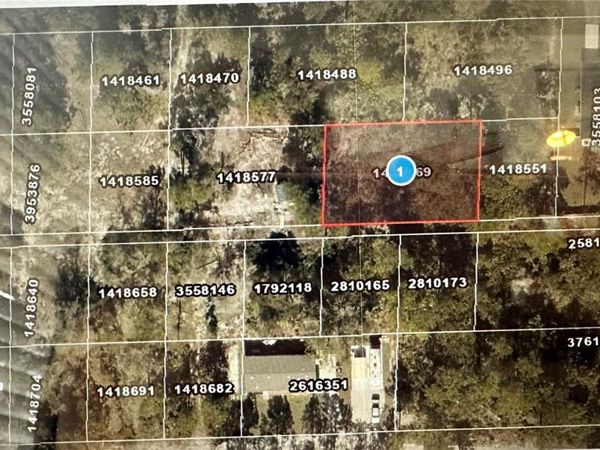 Lots 121 & 122 PARK FOREST BLVD , MOUNT DORA, FL 32757