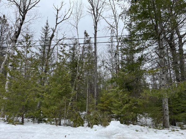 Lot 310 Kauffman Road, Presque Isle, MI 49777