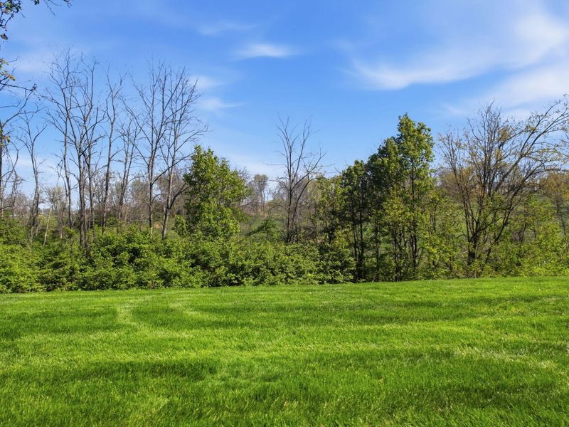 29 Fairway Drive, Southgate, KY 41071 Photo 42