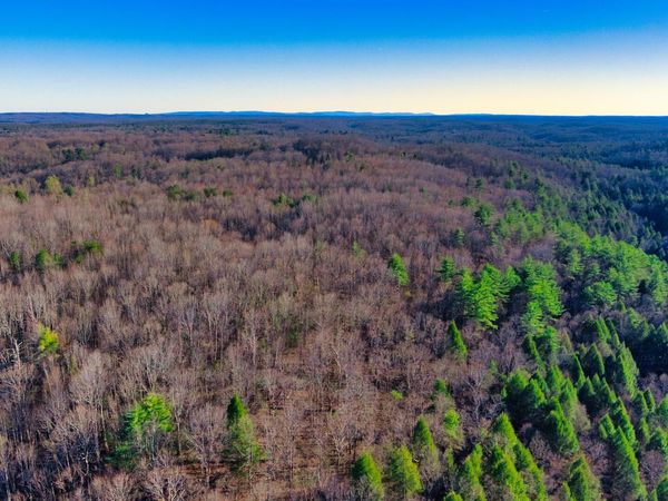 Tract 5 Ervin Brown Rd, Sunbright, TN 37872