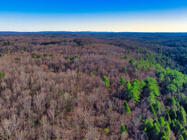 Tract 6 Ervin Brown Rd, Sunbright, TN 37872