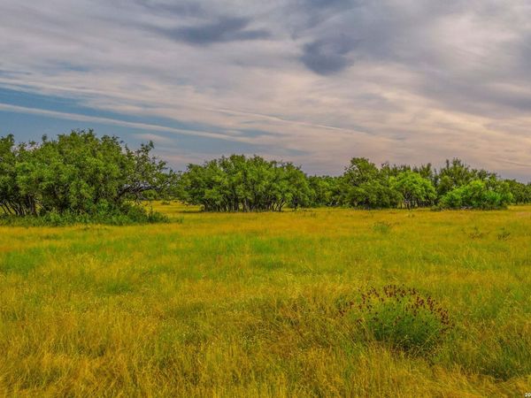 0 Treadwell Ln, Menard, TX 76859