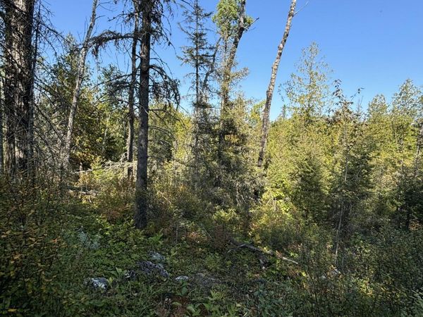 585 N Czech LN, Hessel, MI 49745