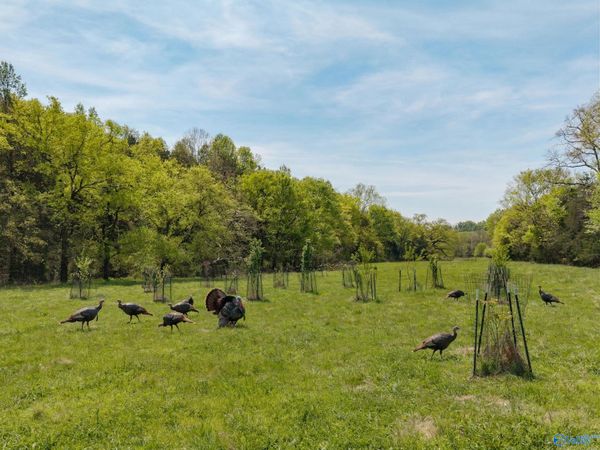 305 Ingram Road, Pulaski, TN 38478