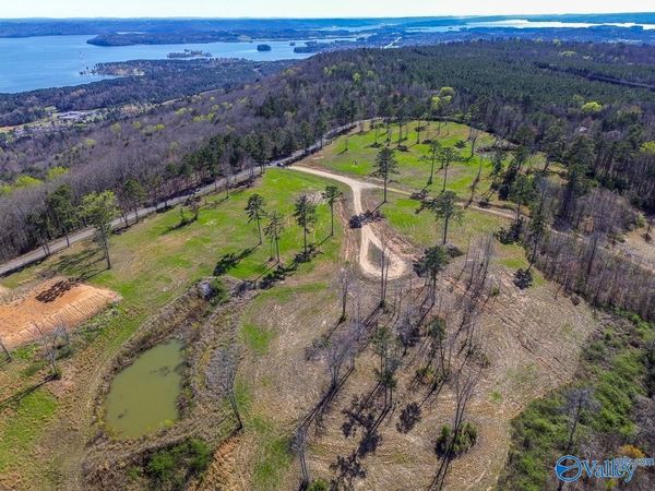 Lot 4 Mccorkle Mountain Road, Scottsboro, AL 35679
