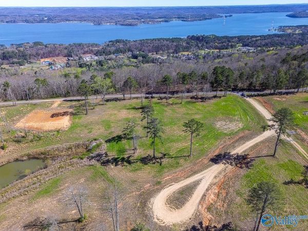 Lot 1 Mccorkle Mountain Road, Scottsboro, AL 35769