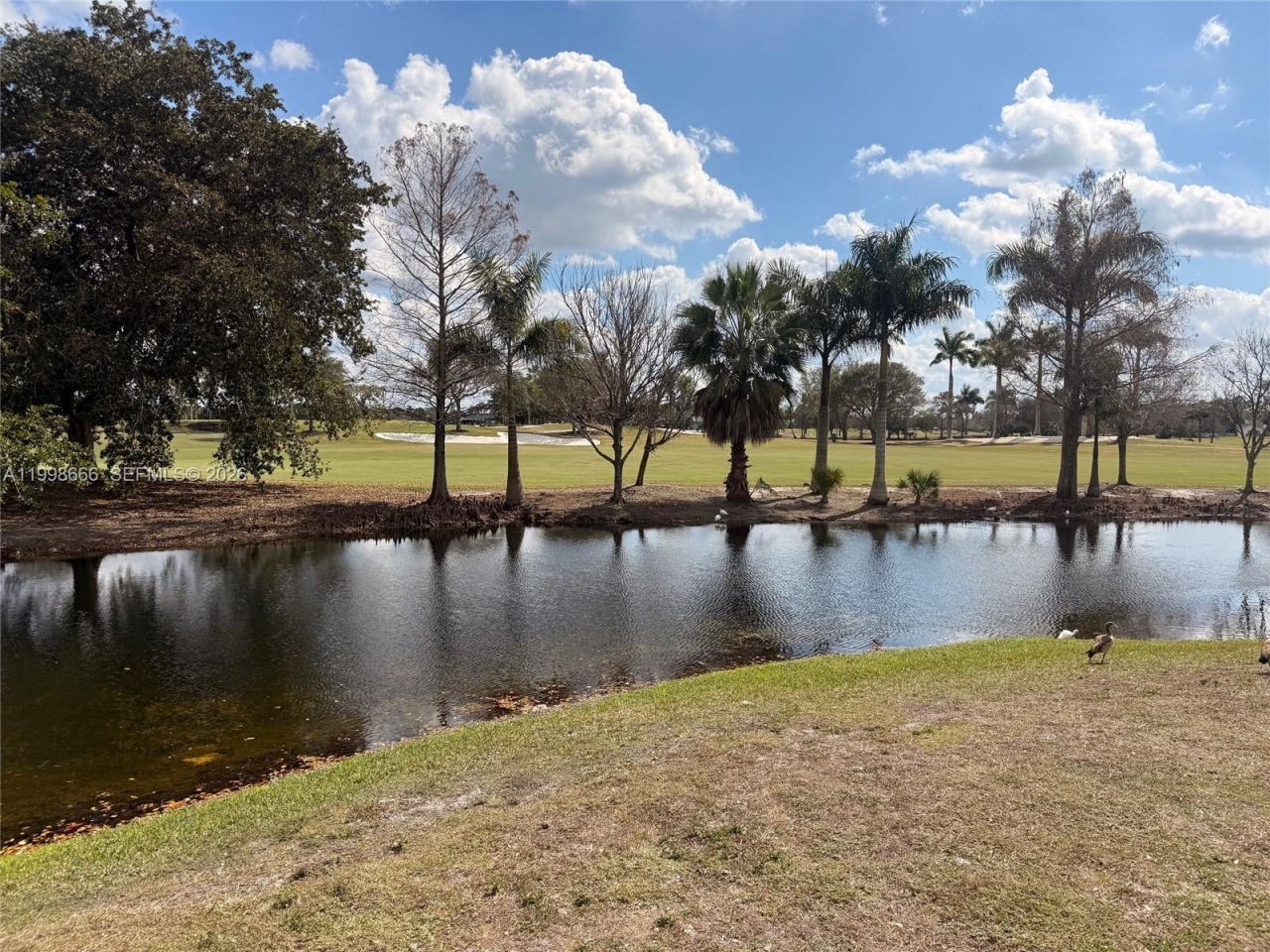 565 Vista Isles Dr, Unit 2024, Sunrise, FL 33325 Photo