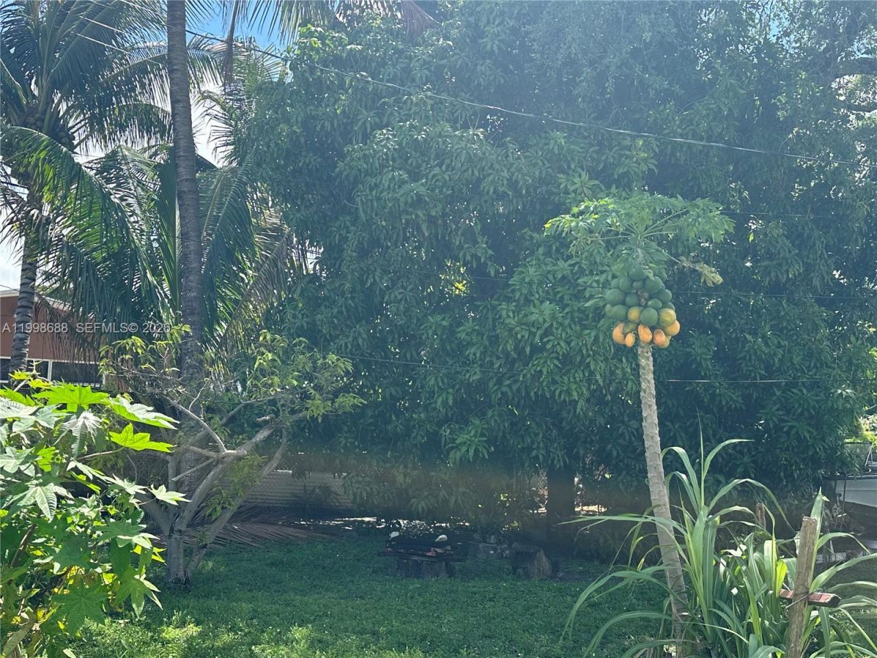 900 NW 75th St, Miami, FL 33150 Photo