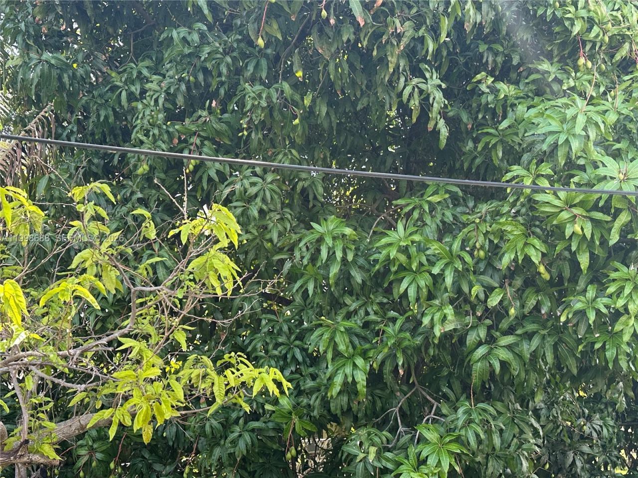 900 NW 75th St, Miami, FL 33150 Photo