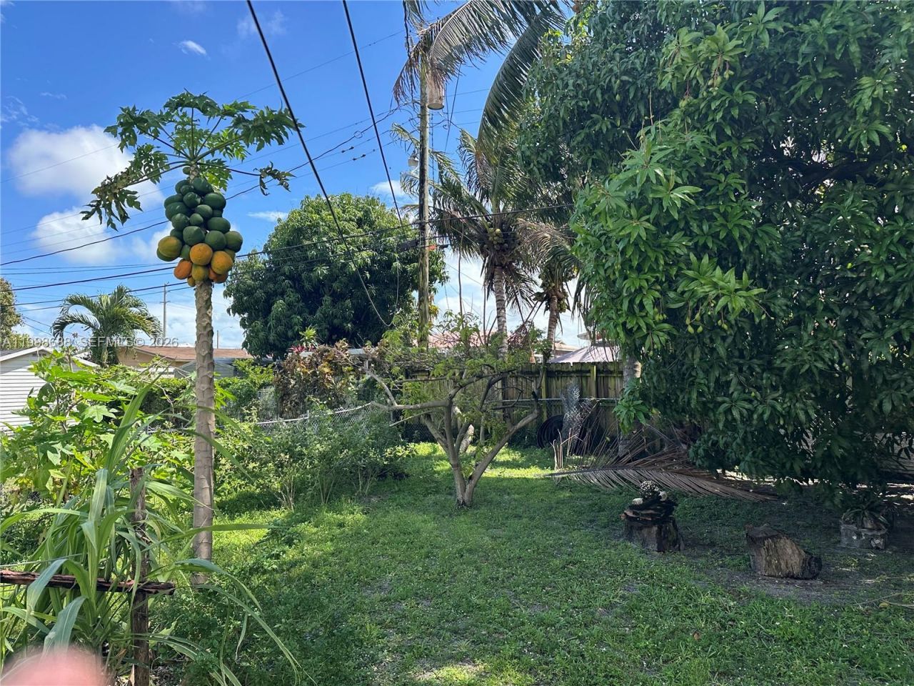 900 NW 75th St, Miami, FL 33150 Photo