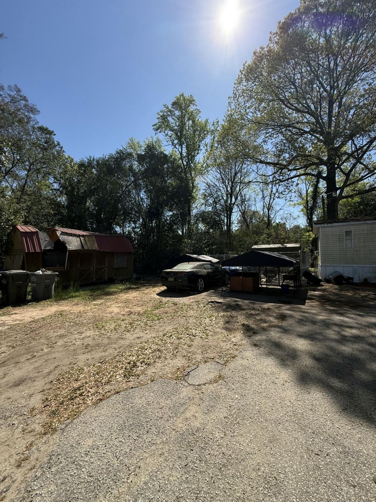 1901 Helm Avenue Photo 4