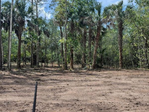 2216 LAUREL AVENUE , BUNNELL, FL 32110