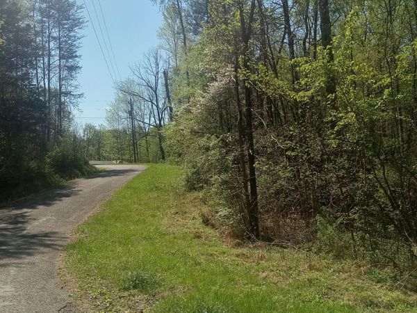 Mountain Rd, Tellico Plains, TN 37385