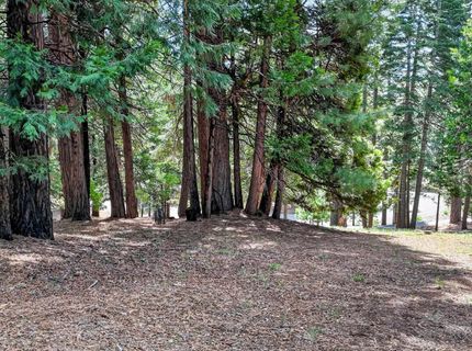 120 Top Of The West Drive, Lake Almanor, CA 96020 Photo