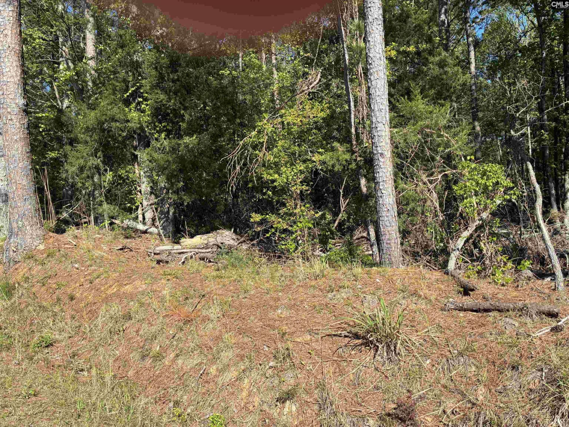 0 Mud Creek Road  Photo 10