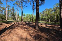 0 Mud Creek Road  photo 4