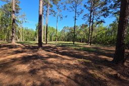 0 Mud Creek Road  photo 4