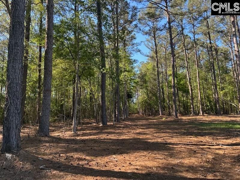 0 Mud Creek Road  Photo 4