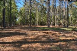 0 Mud Creek Road  photo 4