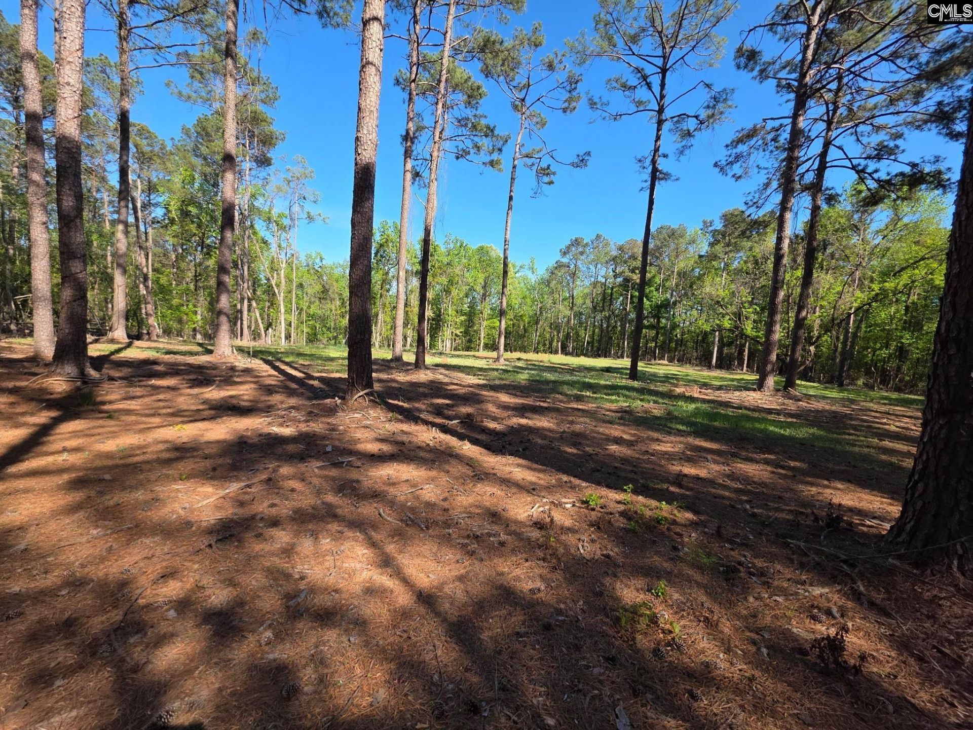 0 Mud Creek Road  Photo 6