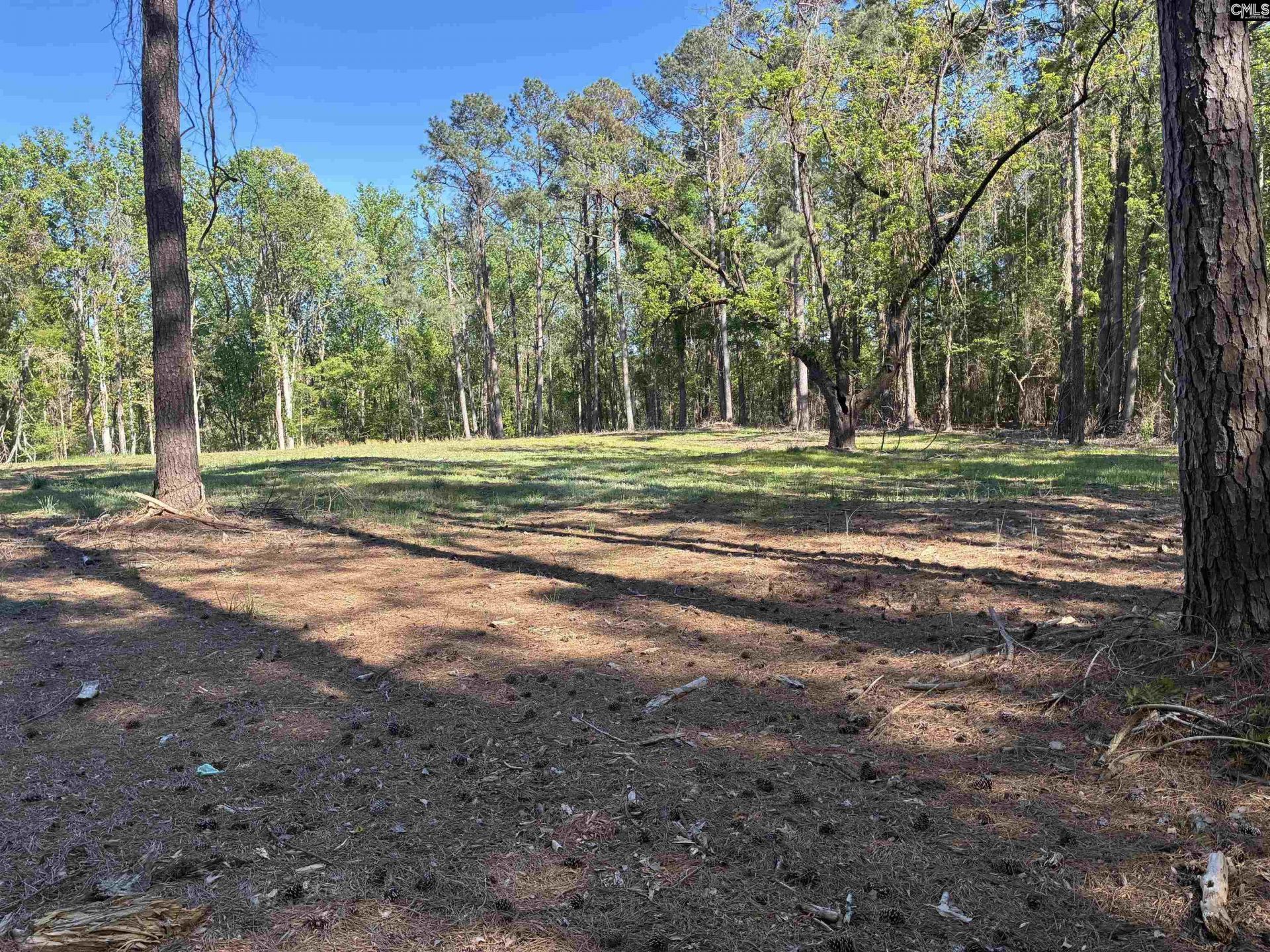 0 Mud Creek Road  Photo 7