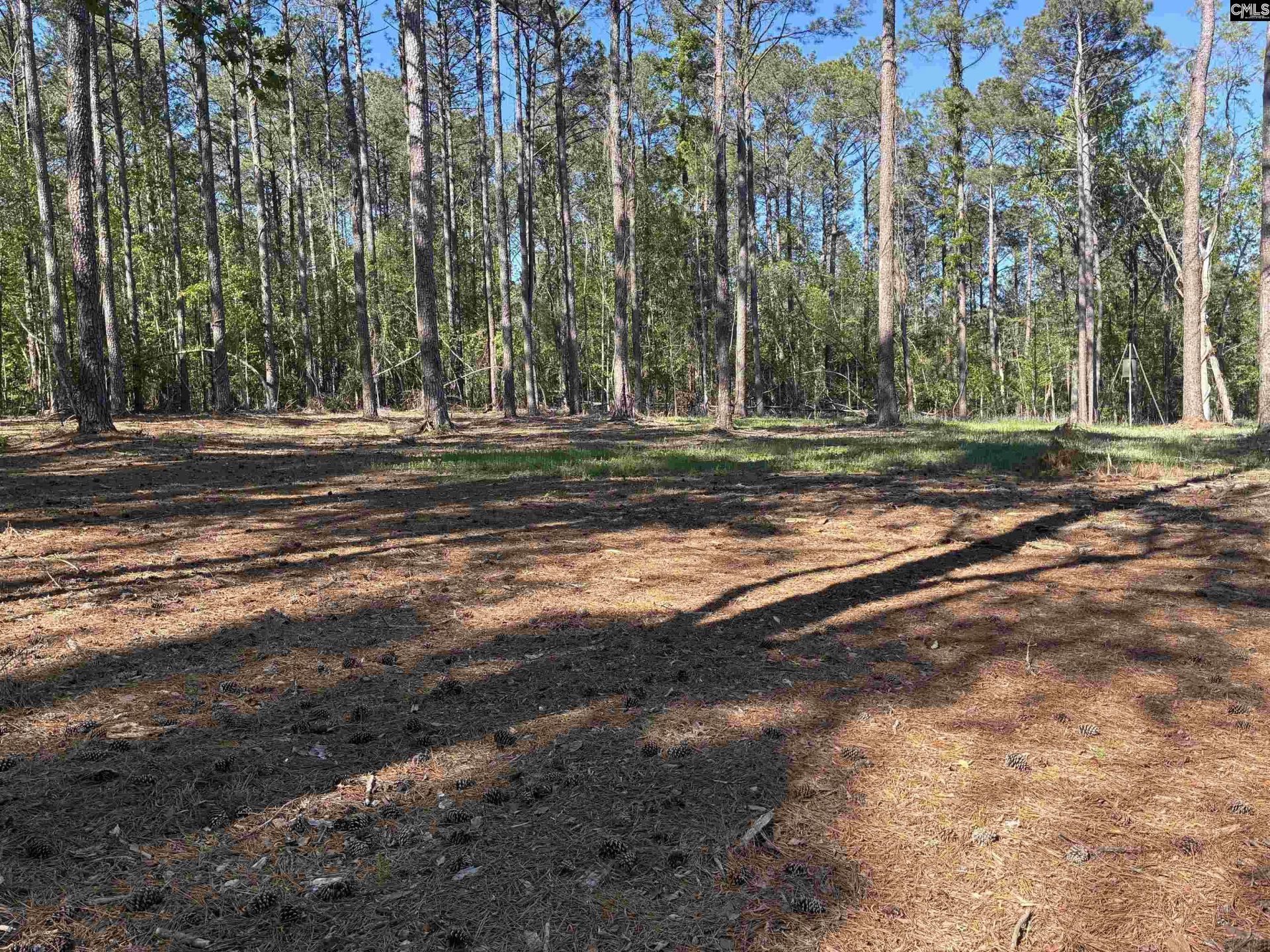 0 Mud Creek Road  Photo 8