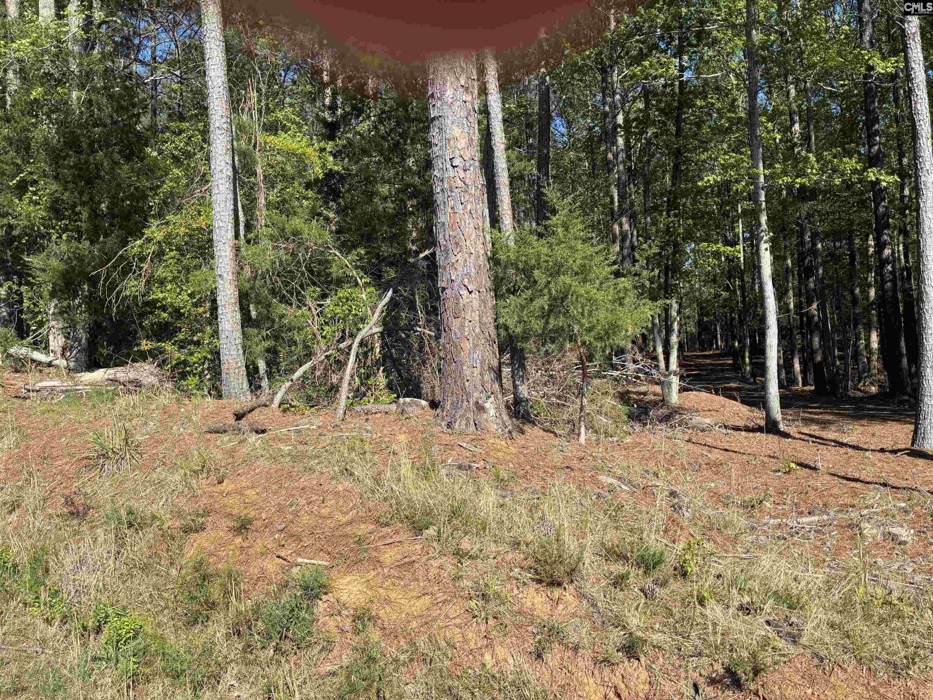 0 Mud Creek Road  Photo 9