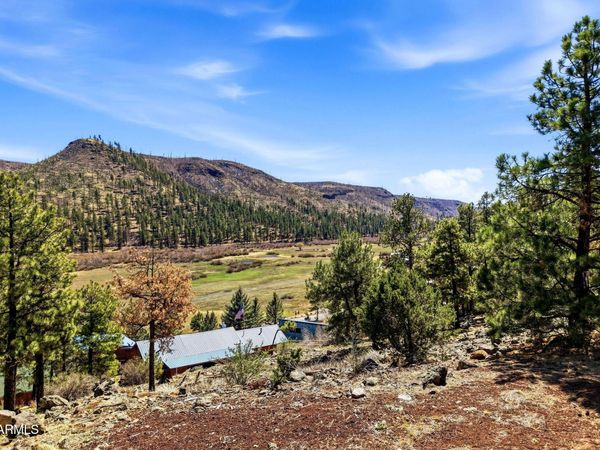 2 COUNTY ROAD 1013, Unit 12, Greer, AZ 85927