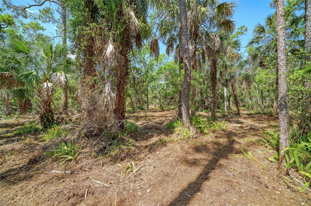 3612 57th Street E, Bradenton, FL 34208 Photo