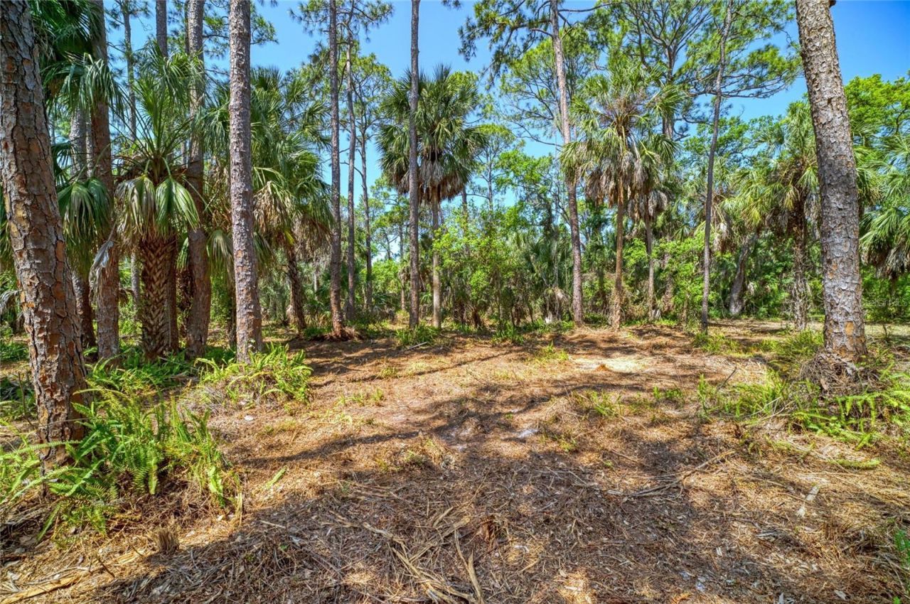 3612 57th Street E, Bradenton, FL 34208 Photo