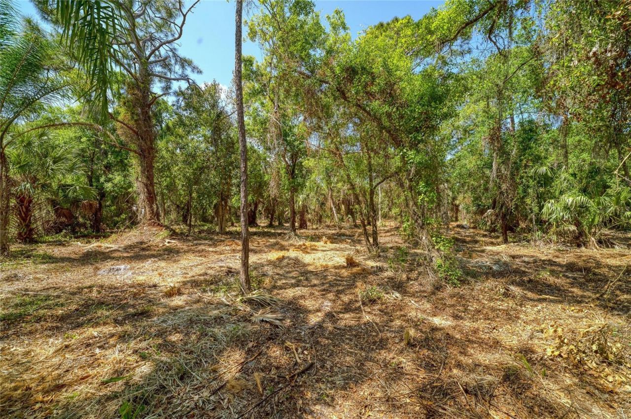 3612 57th Street E, Bradenton, FL 34208 Photo