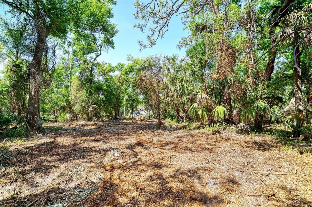 3612 57th Street E, Bradenton, FL 34208 Photo