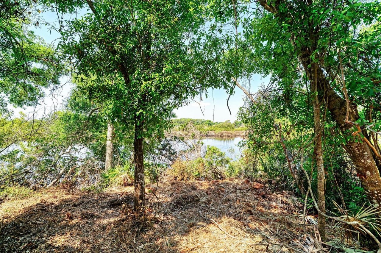 3612 57th Street E, Bradenton, FL 34208 Photo