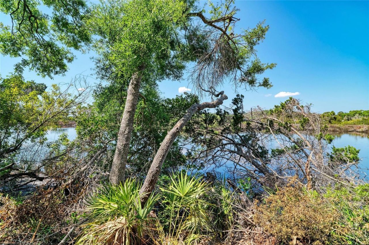 3612 57th Street E, Bradenton, FL 34208 Photo