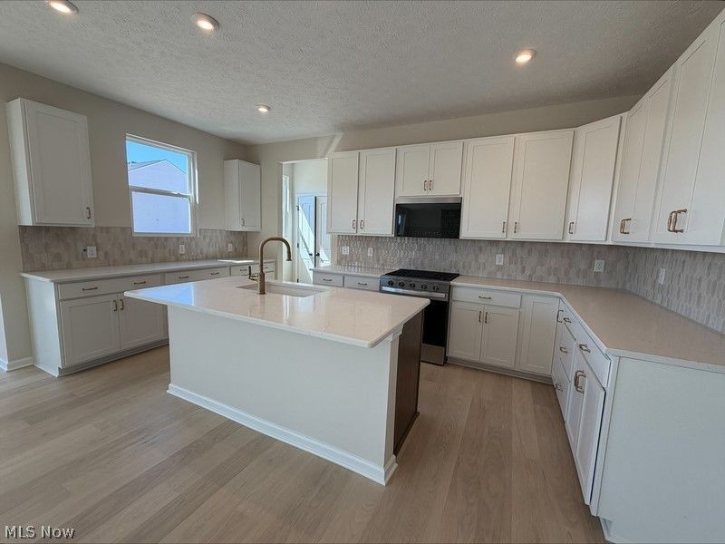 35927 Baldauf Crossing, North Ridgeville, OH 44039 Photo 8